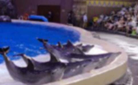 ���{ɫ�ĺ����u���x��м��\15ƪ