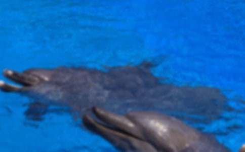 ���᡿�ɐ۵ĺ�������