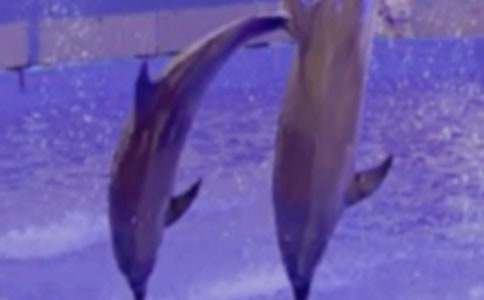 ���{ɫ�ĺ����u���x���(���x15ƪ)