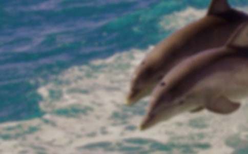 �x�{(l��n)ɫ�ĺ����u�и�