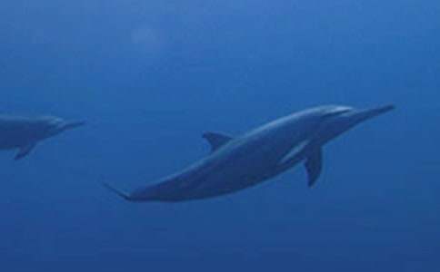 ���᡿�x���{ɫ�ĺ����u���и�