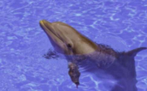 �{ɫ�ĺ����u�x���(�R��15ƪ)