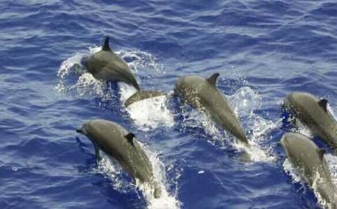 ����С�W(xu��)����