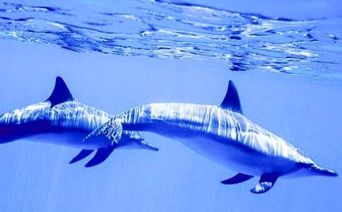 ������������ģ����x13ƪ��