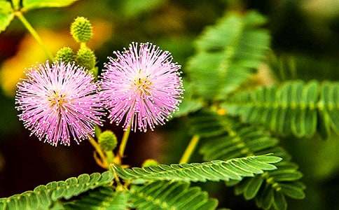 ����(sh��)�á����߲�����