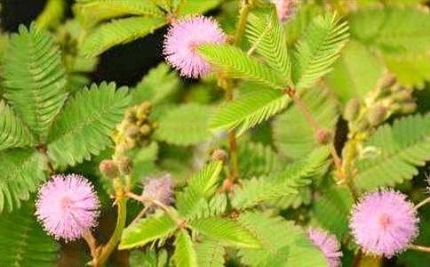 �������l�������߲�