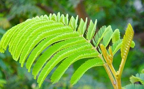 ���߲����ľ��x[15ƪ]