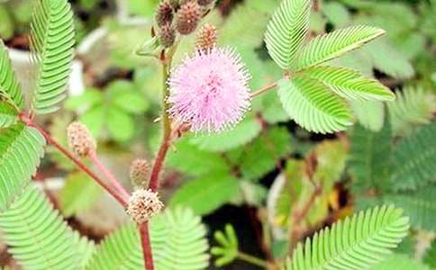 ���߲ݠ�������