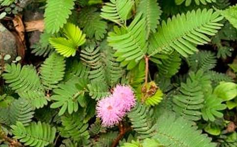 ����Ʒ�����߲�С�W(xu��)������ƪ