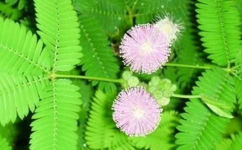 ���߲����ļ��\15ƪ