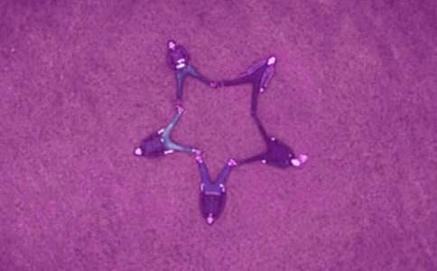 �\�����ĺ��Ѽ��Z