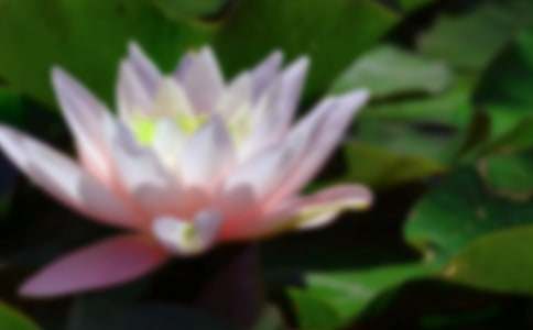 �ɻ��̌W(xu��)�O(sh��)Ӌ��(y��u)��