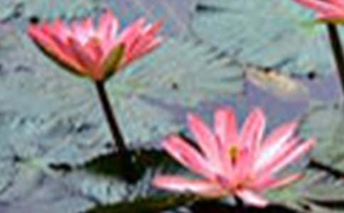 �Ґۺɻ����ľ��x15ƪ