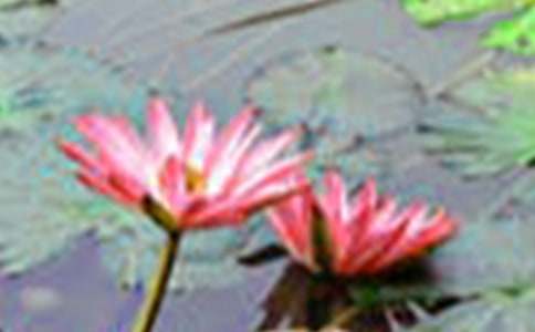 �P(gu��n)�ںɻ����ģ����x59ƪ��