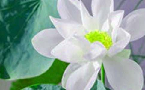 ���P(gu��n)�ɻ�����300�ְ�ƪ