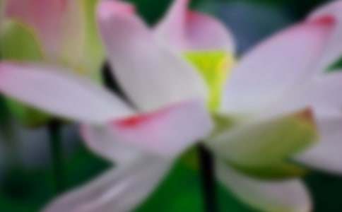 �P(gu��n)���茑�ɻ�������