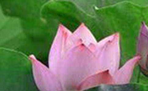 �P�ڡ��ɻ������u�n