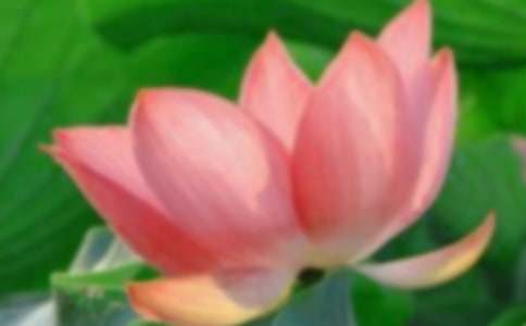 �ɻ���������