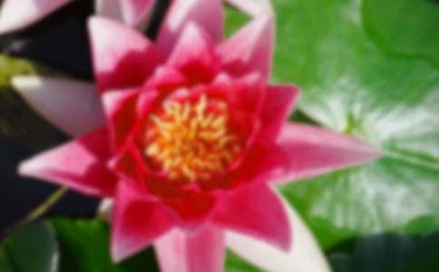 �Ґۺɻ����ģ����x38ƪ��