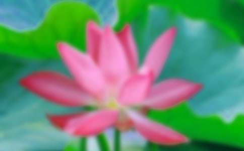 ���P�ɻ������ąR��10ƪ