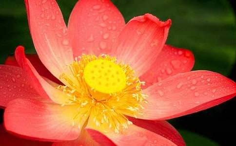 �����á��ɻ����ąR����ƪ