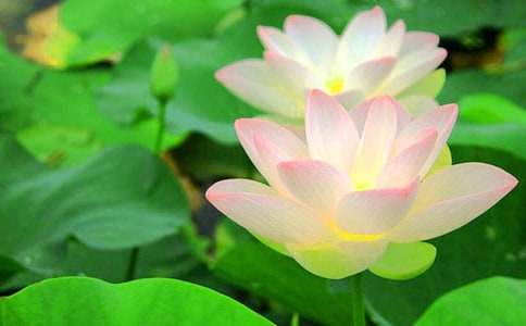 �^�p�ɻ�����