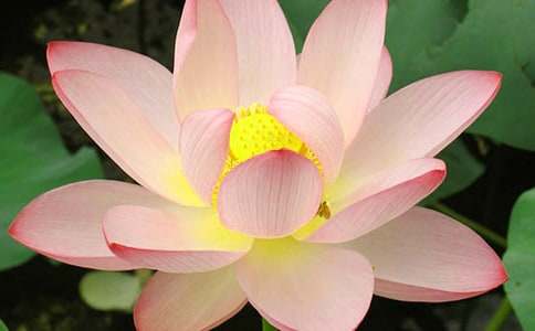 �茑�ɻ�������(���x15ƪ)