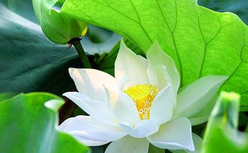 ٝ���ɻ���Ԋ(sh��)��