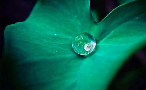 ���еĺ��~����