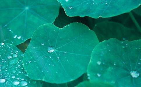 �Ґۺ��~��x��