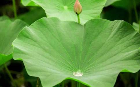 �����~�A�A���̌W(xu��)�O(sh��)Ӌ(j��)