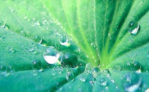 �����~�A�A���u(p��ng)�n��ģ��