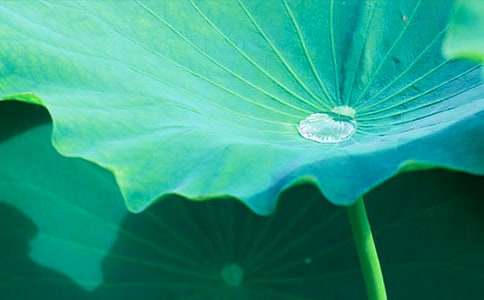 �����~�A�A���̌W(xu��)�O(sh��)Ӌ(j��)����15ƪ