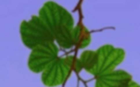 ���C������15ƪ������