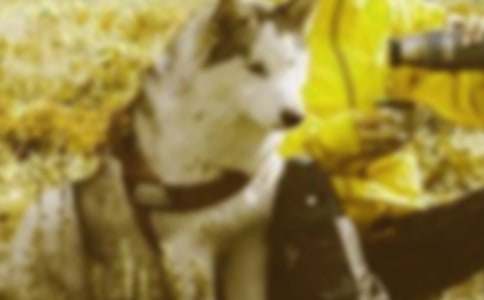 [��(j��ng)��]���C������