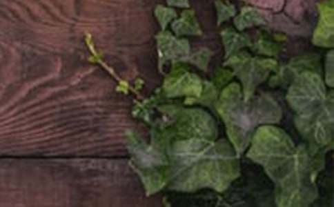 ���C��(y��u)������