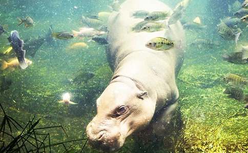 ������ͺ��R���x���