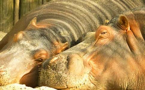 С���Z�Ի���O(sh��)Ӌ���������ֵ�С���R