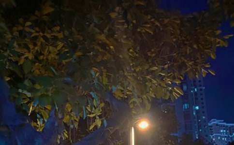 �а�����c��ҹ������ӽ̰�