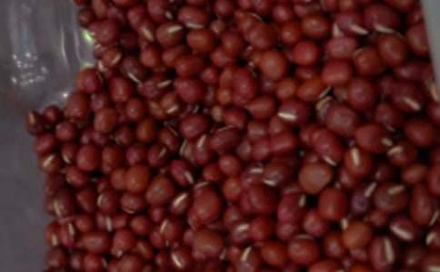 �����t����ɳ�̳����