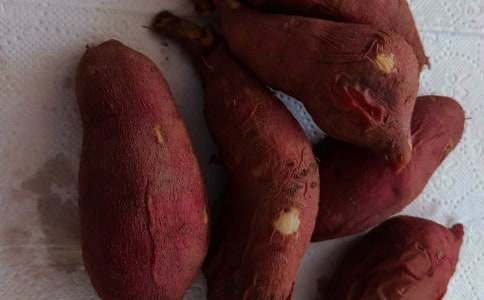 �u�t�����Ϡ�������