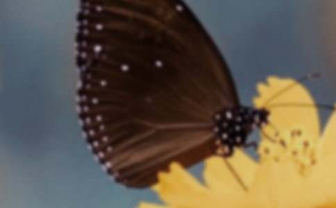 �_���ĺ������u�n