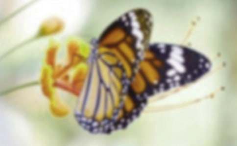 �׺�������x��