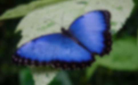 ���ۺ��ж��ٺ���Ч��(y��ng)