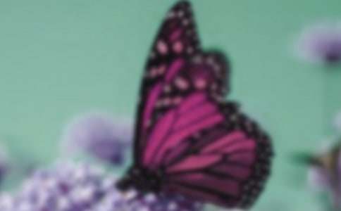 �����ͻ��đِ�