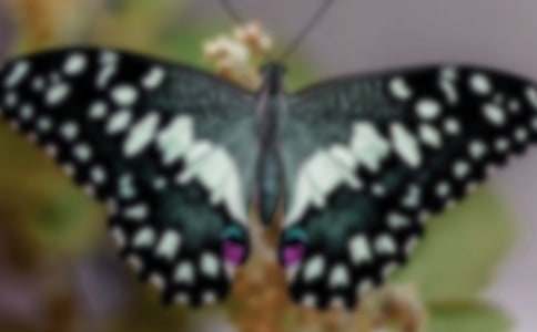 �����]������������4ƪ