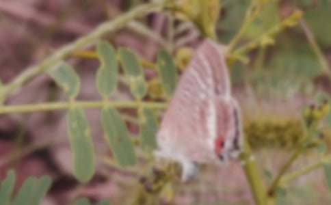 �����ĳ������