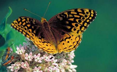 ���ˇ�g(sh��)�����̰�