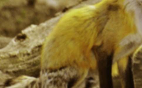 �ٱ���؂�_һ���x��У����x32ƪ��