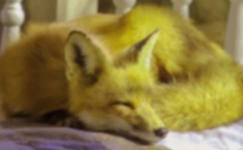 С��؂�ĕ�(sh��)���x���